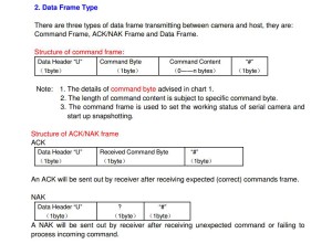 2. Data Frame Type